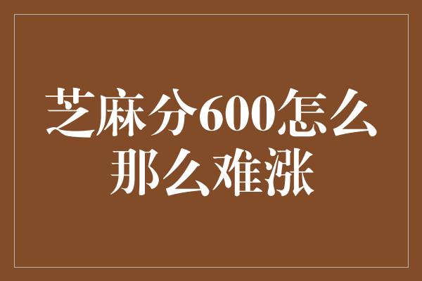 芝麻分600怎么那么难涨