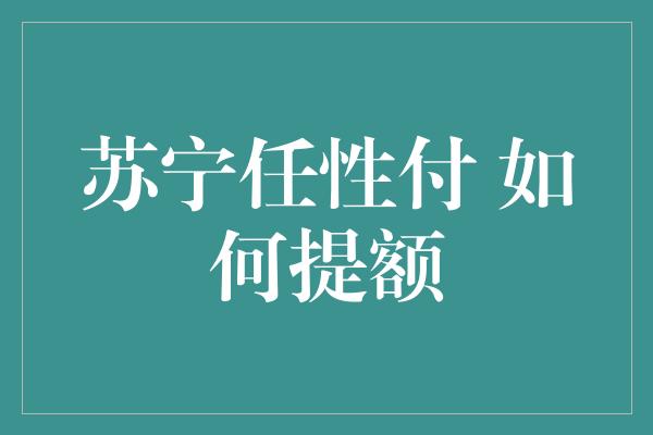 苏宁任性付 如何提额