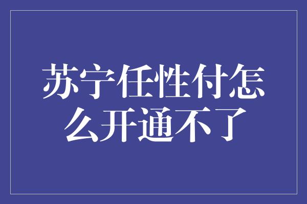 苏宁任性付怎么开通不了