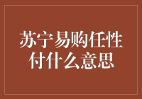 苏宁易购任性付：开启时尚消费新潮流