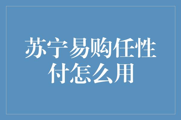 苏宁易购任性付怎么用