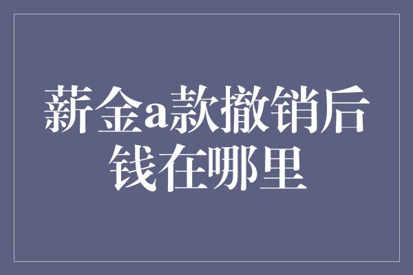 薪金a款撤销后钱在哪里