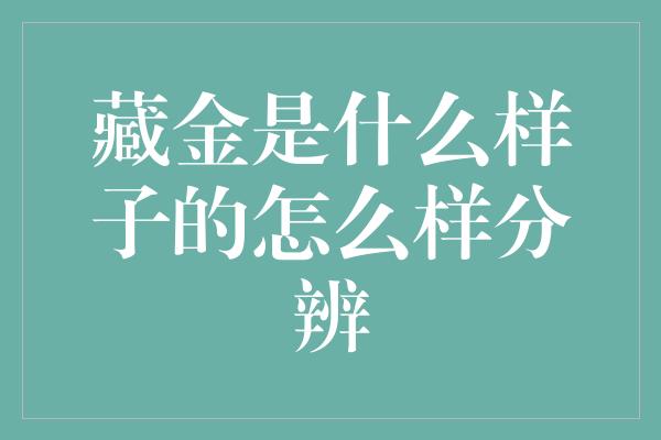 藏金是什么样子的怎么样分辨