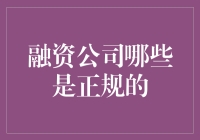 资金猎人：如何在金融丛林中猎取正规融资公司的踪迹