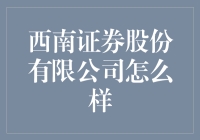 西南证券股份有限公司的发展潜力与挑战