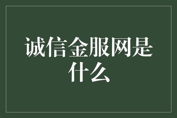 诚信金服网是什么