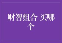 财智组合投资策略：精准挑选，稳健增长