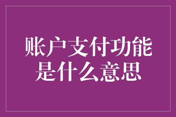 账户支付功能是什么意思