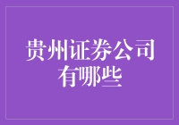 贵州证券公司：多元化选择助力资本市场