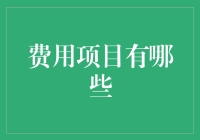 别以为费用项目只是个会计术语，它可是关系到你的钱包哦！