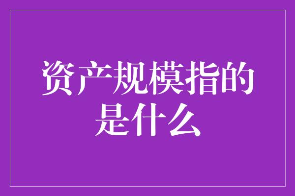 资产规模指的是什么