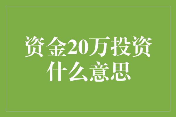 资金20万投资什么意思