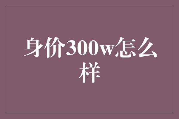 身价300w怎么样