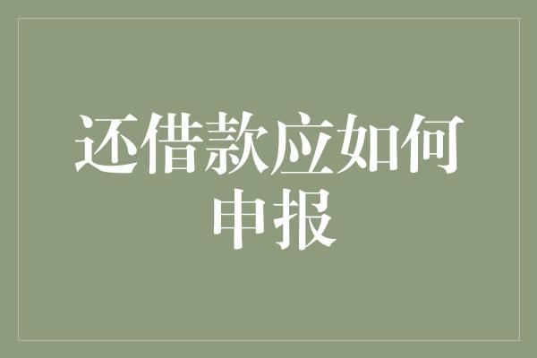 还借款应如何申报