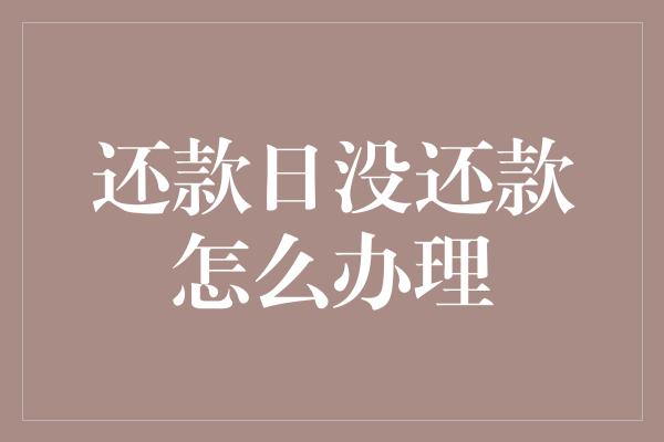 还款日没还款怎么办理