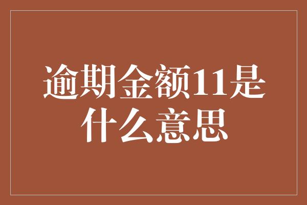 逾期金额11是什么意思