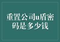 重置公司U盾密码费用解析：防盗与保障的双重考量