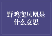 从野鸡到凤凰：投资翻身的奥秘