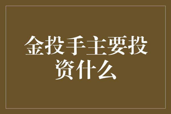 金投手主要投资什么