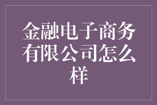 金融电子商务有限公司怎么样