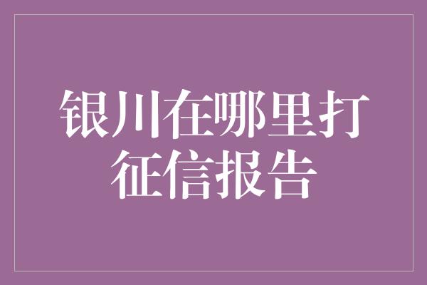 银川在哪里打征信报告