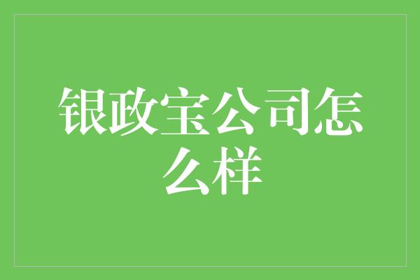 银政宝公司怎么样