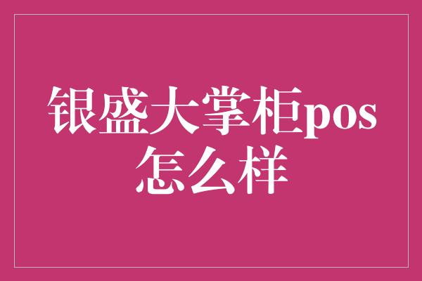 银盛大掌柜pos怎么样