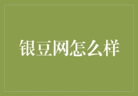 银豆网：互联网金融领域新秀的崛起与挑战