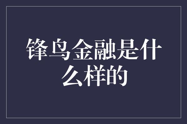 锋鸟金融是什么样的