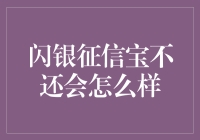 闪银征信，不还钱会怎么样？——从小黑屋到金库的奇幻之旅