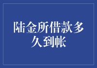 陆金所借款服务深度解析：到账时间探讨与策略建议