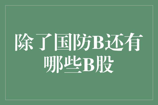 除了国防B还有哪些B股