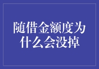 随借金额度为什么会没掉——如何维护良好的信用记录与个人信用评分