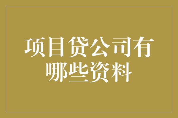 项目贷公司有哪些资料