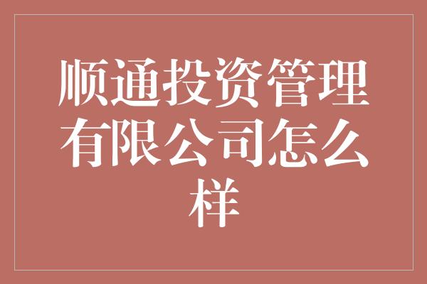 顺通投资管理有限公司怎么样