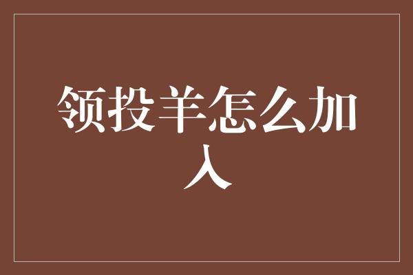 领投羊怎么加入