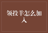 领投羊怎么加入？——从羊入贵羊羊羊圈的那些事儿