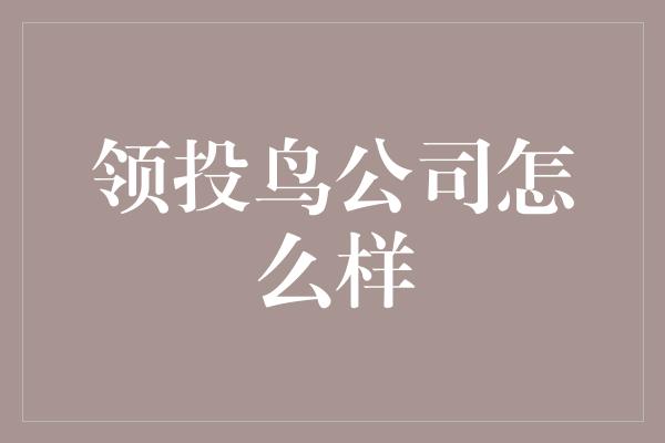 领投鸟公司怎么样