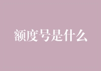 浅析额度号在金融领域的运用与发展