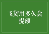 飞贷额度提升指南：如何在不被飞走的情况下成功提额