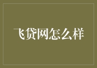 飞贷网：科技引领下的创新金融实践