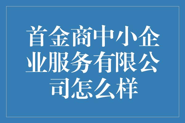 首金商中小企业服务有限公司怎么样