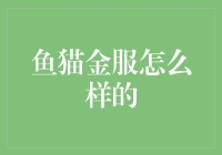 鱼猫金服：创新金融服务模式助力中小微企业成长