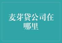 麦芽贷公司：构建数字化金融桥梁的智能巨头