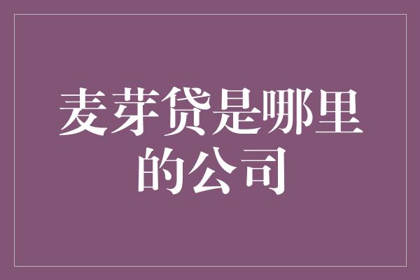 麦芽贷是哪里的公司