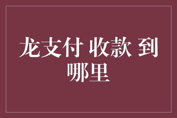 龙支付 收款 到哪里