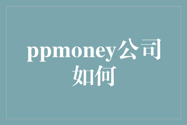 ppmoney公司如何