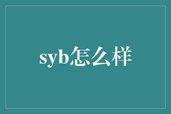 syb怎么样