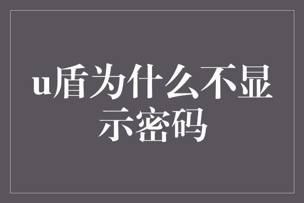 u盾为什么不显示密码